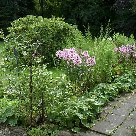 Ferienwohnung Wolfshagen *